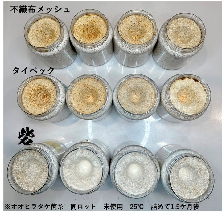 【100枚】高機能フィルター 砦(とりで) 大