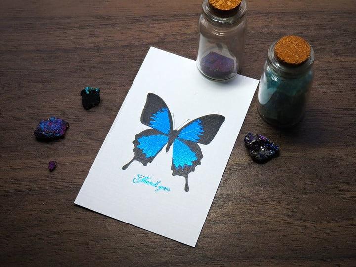 Thank you カード 5枚入り（オオルリアゲハ）