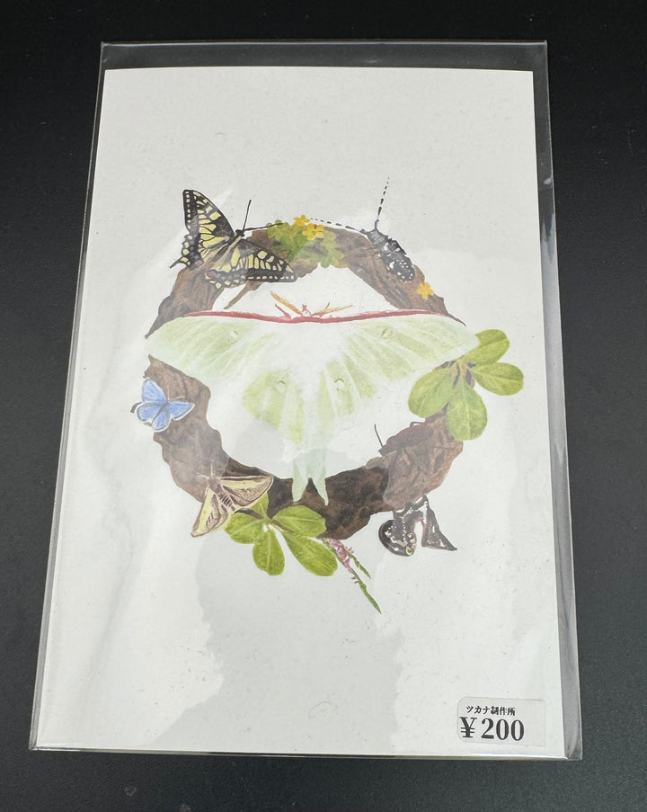 ポストカード 1枚入り（オオミズアオとアケビのリース）