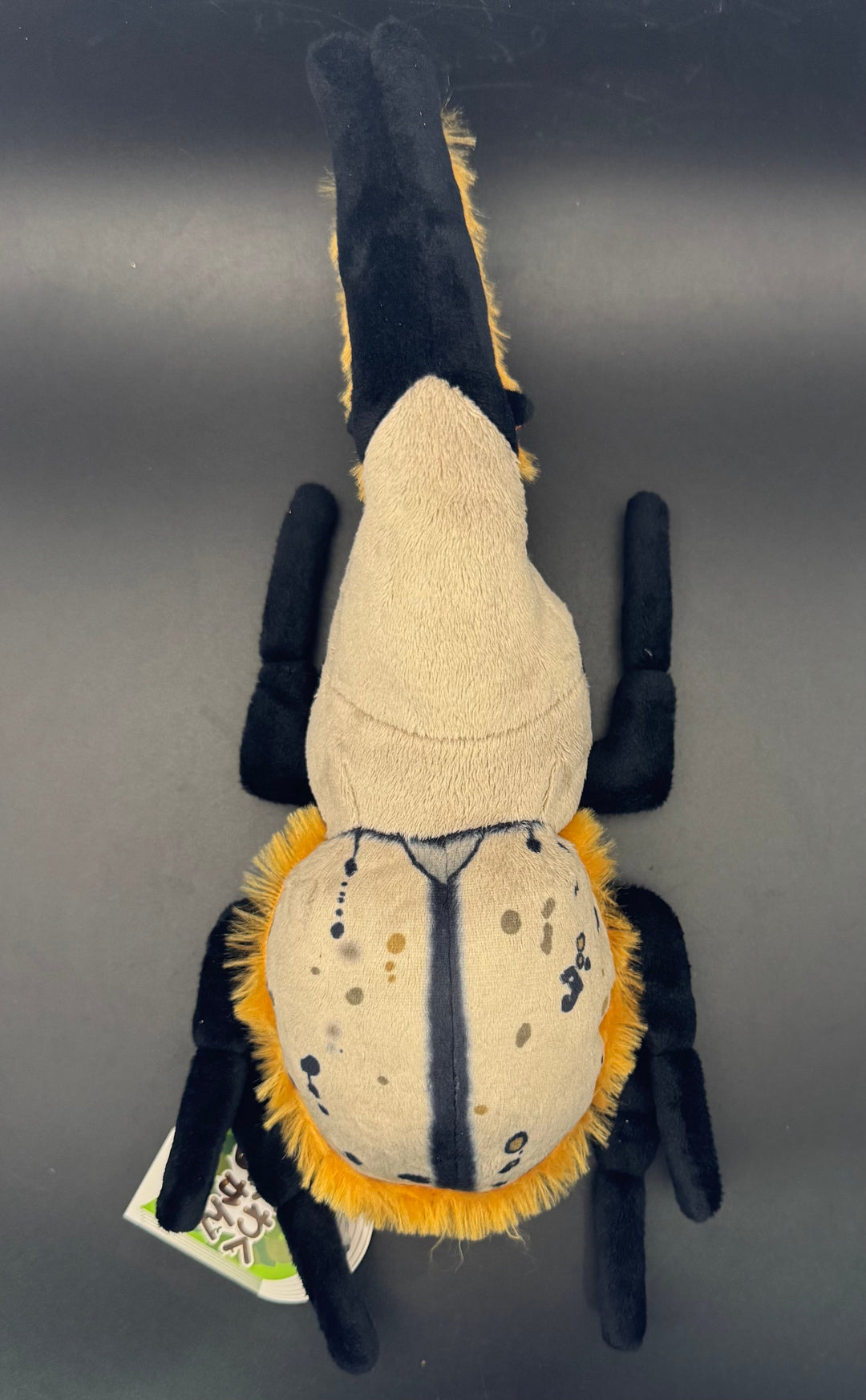 わくわく図鑑 グラントシロカブトぬいぐるみ中