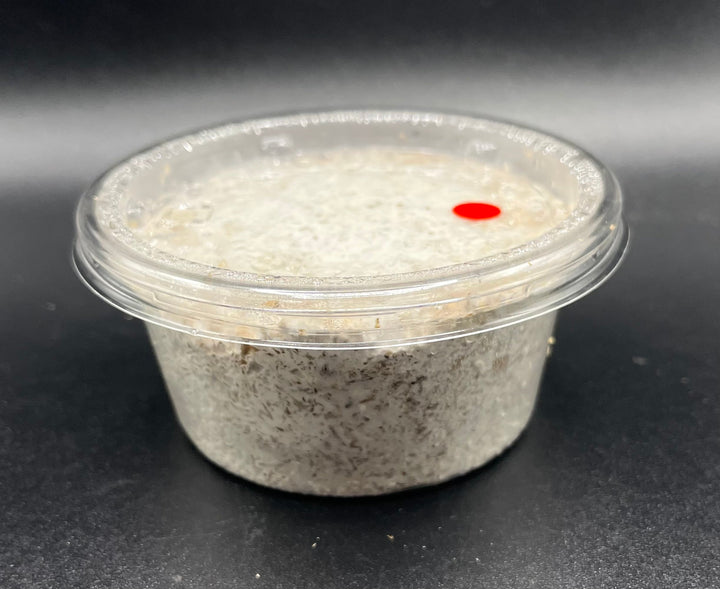 G-ZERO 菌糸カップ 120cc