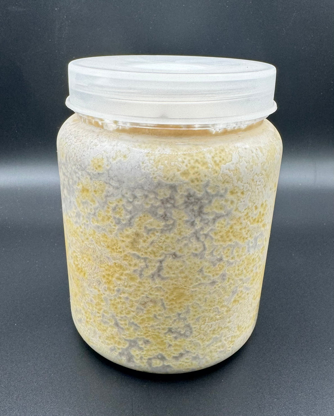 カワラタケ菌糸UGONDO ブナ100% ボトル800cc