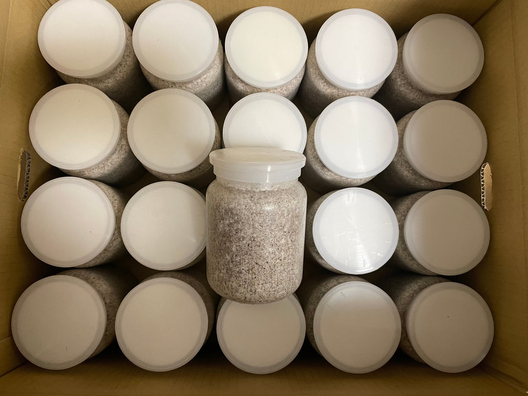 【16本セット】カワラタケ菌糸ボトル800cc