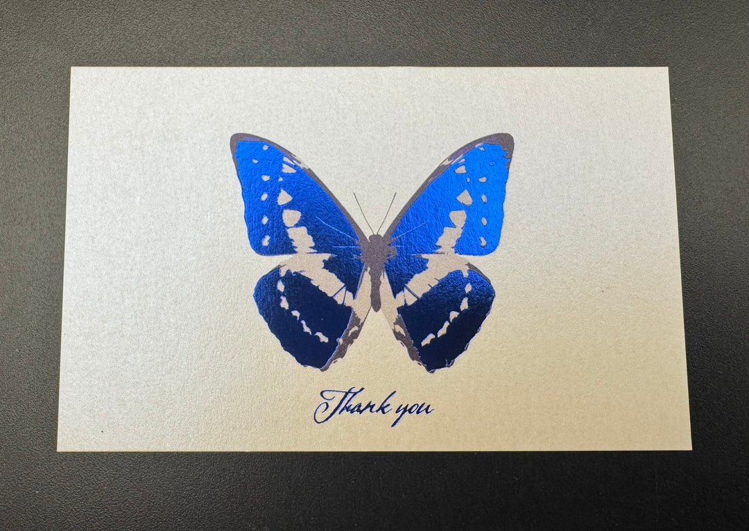 Thank you カード 5枚入り（キプリスモルフォ）
