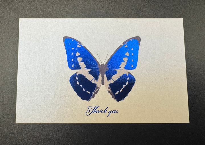 Thank you カード 5枚入り（キプリスモルフォ）