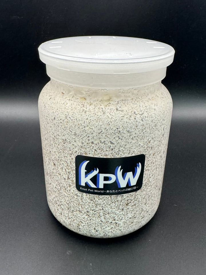 【16本セット】オオヒラタケ菌糸ボトル800cc