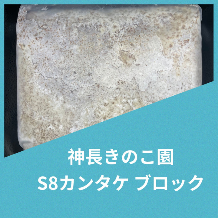 S8カンタケ ブロック