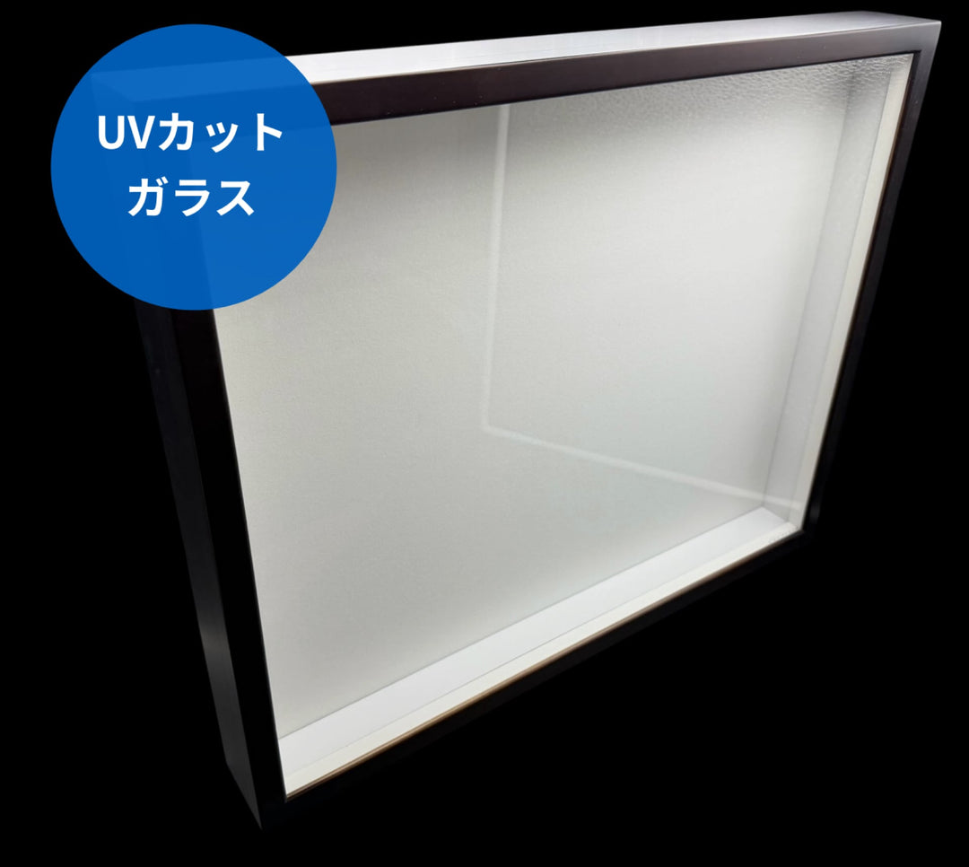 マットキープ T型ドイツ型標本箱60（UVガラス仕様）