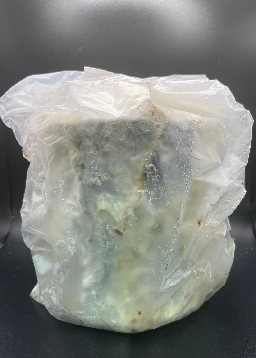 植菌カワラ材 Lサイズ1本入り