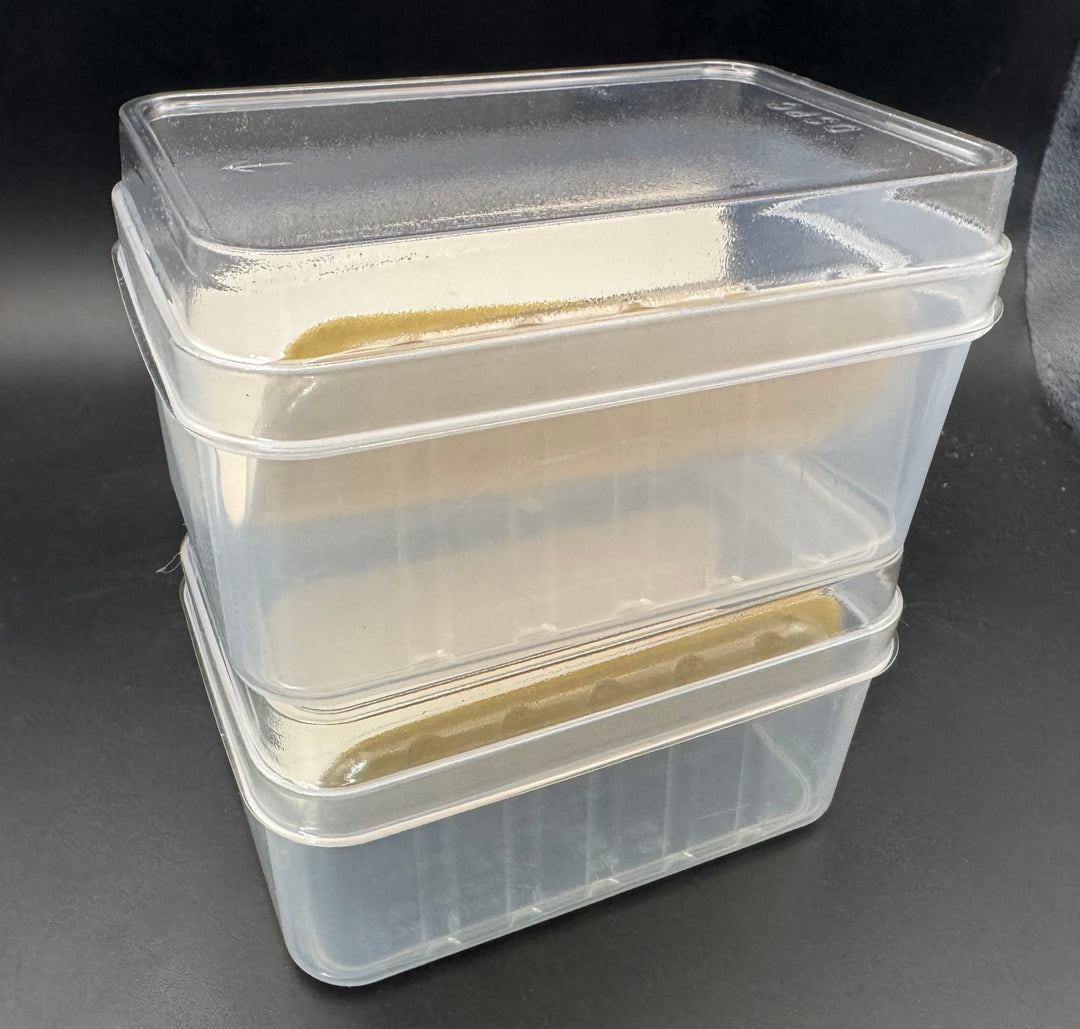 【フル仕様】人工蛹室 DSPC（透明PETタイプ）大