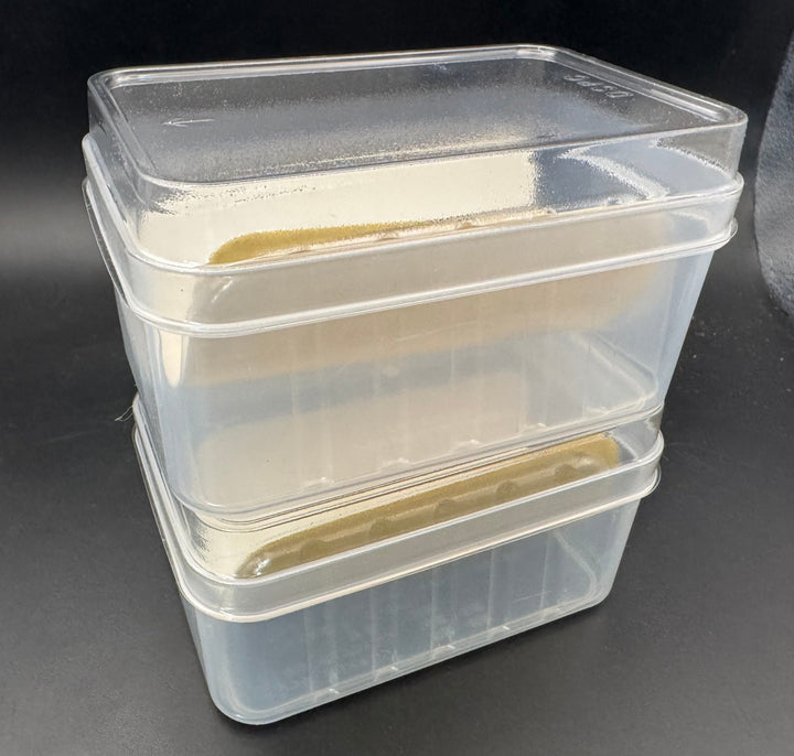 【フル仕様】人工蛹室 DSPC（透明PETタイプ）大