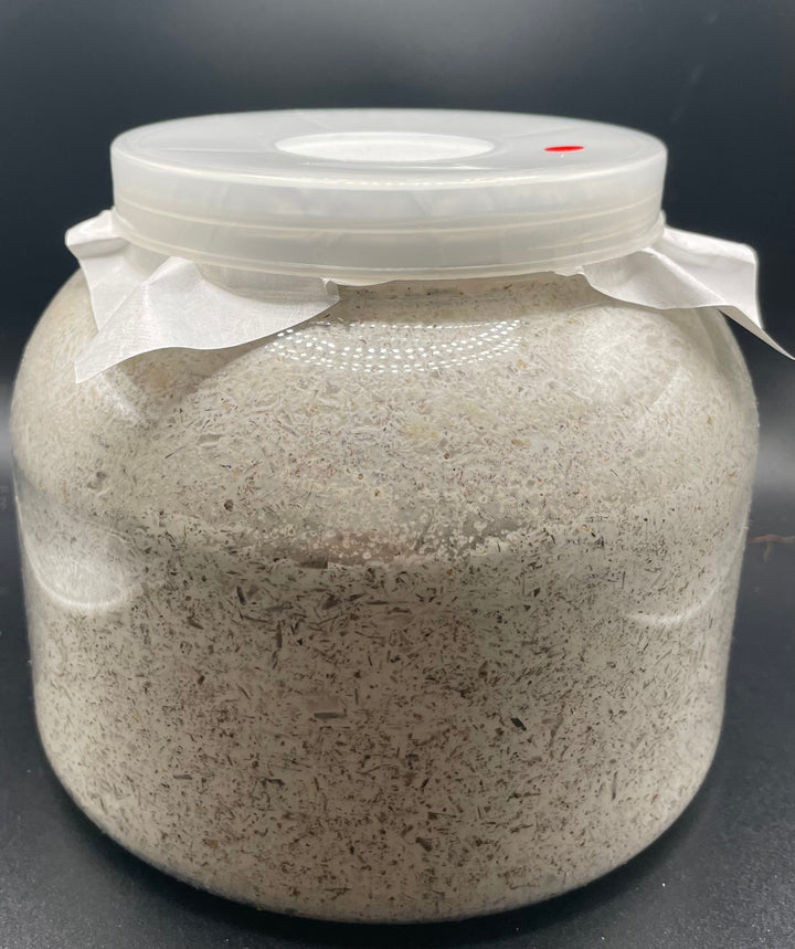 G-ZERO 菌糸ボトル 2300cc