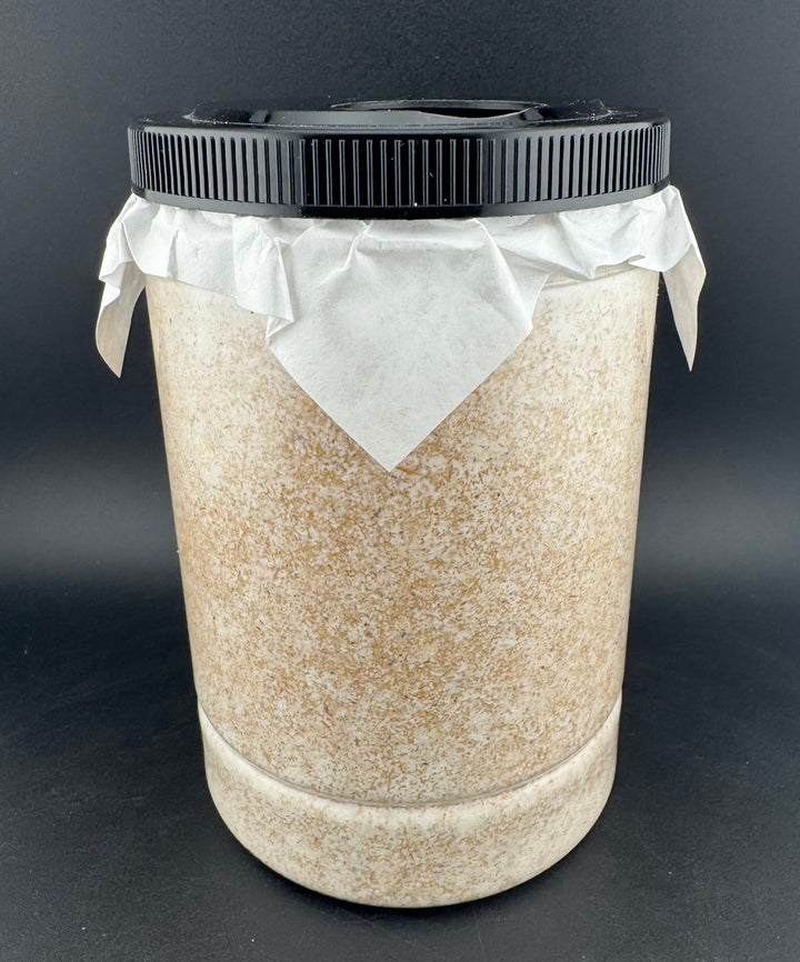 グリードSL（低添加微粒子） 産卵菌床 黒フタ 1L