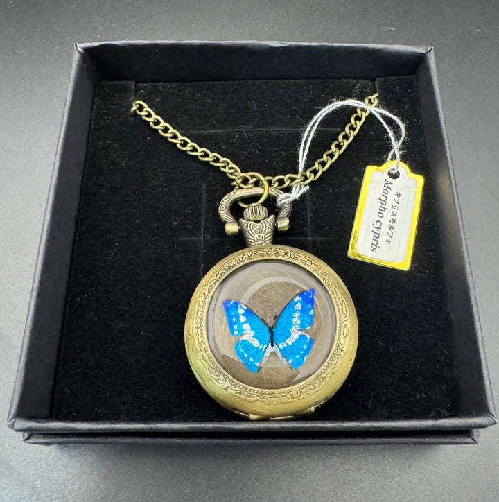 手書き懐中時計（キプリスモルフォ）