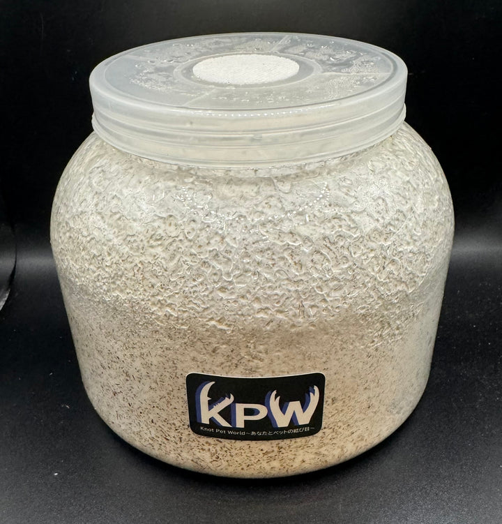 【KPWオリジナル】オオヒラタケ菌糸ボトル 2300cc