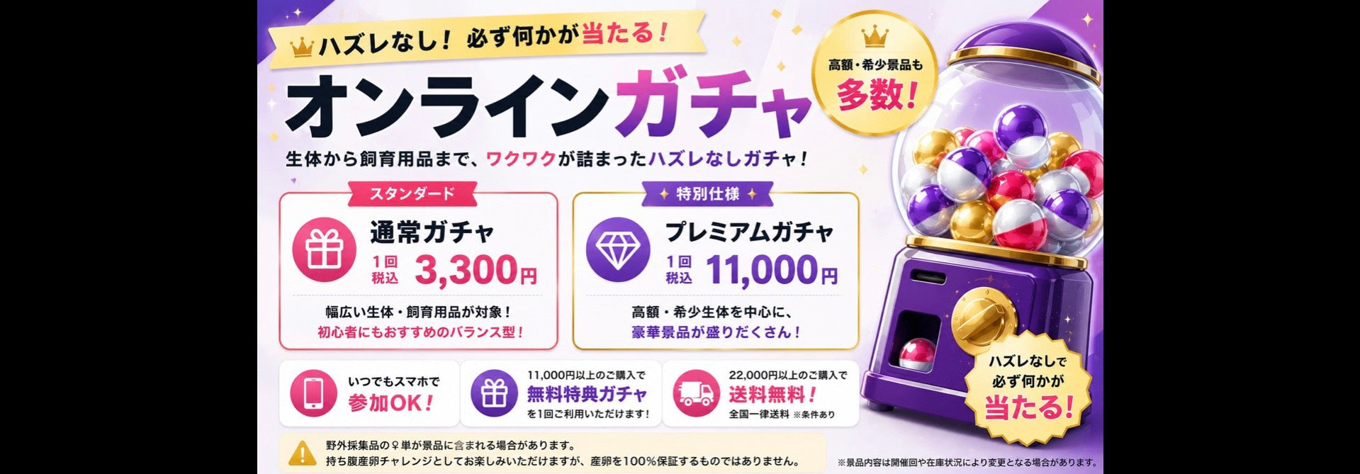 クワ品　おまとめです KPW公式オンラインショップ