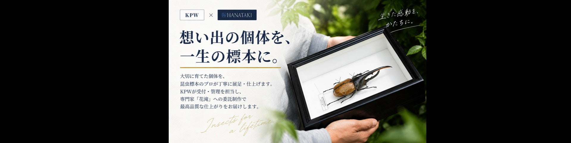 クワ品　おまとめです KPW公式オンラインショップ