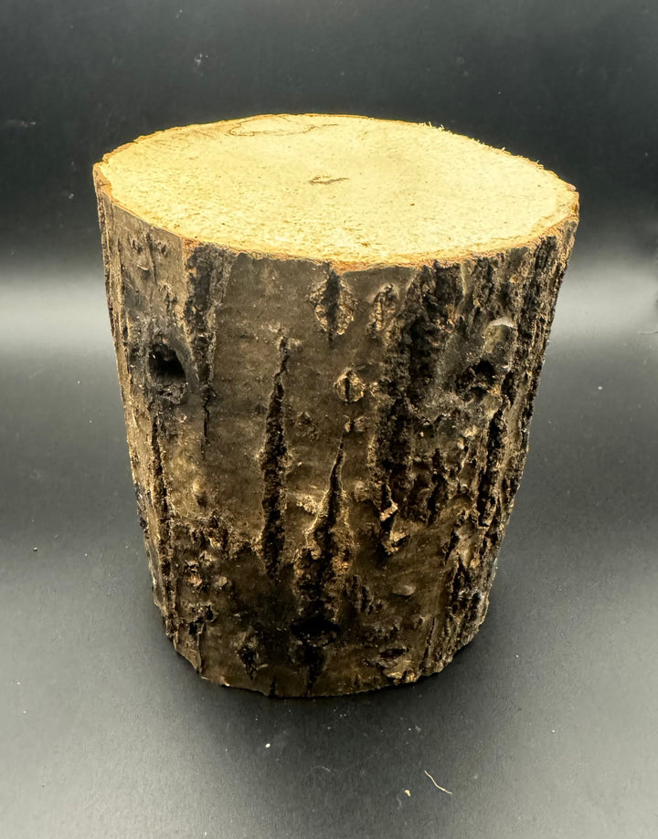 SB材 LLサイズ 1本