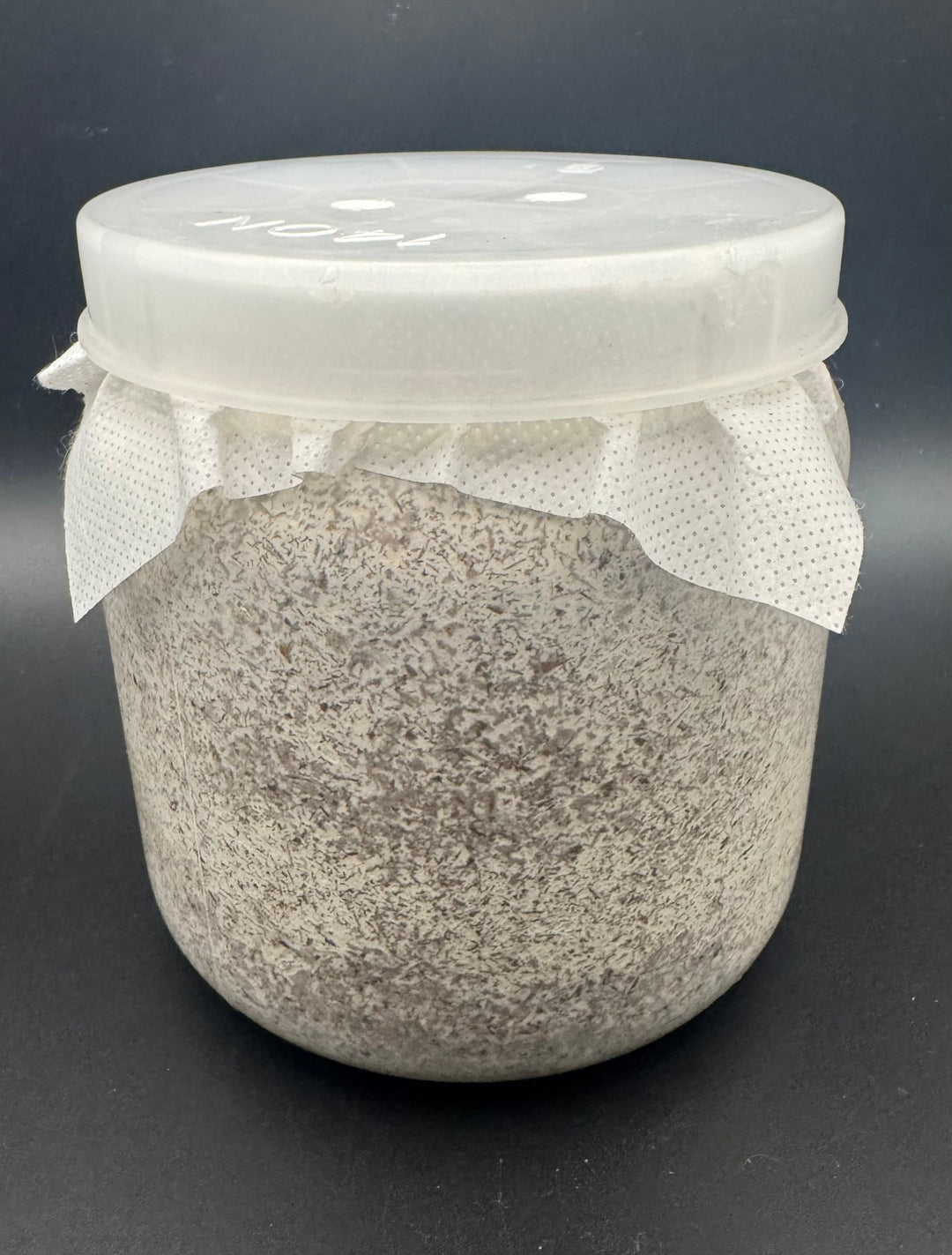 【暁】カンタケ（晩生ヒラタケ）1400cc