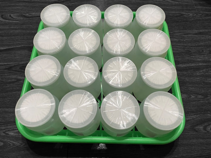 コンテナ 800cc×16本タイプ
