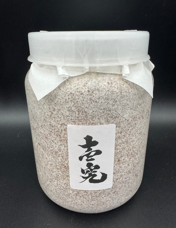 【壱究】オオヒラタケ 800cc