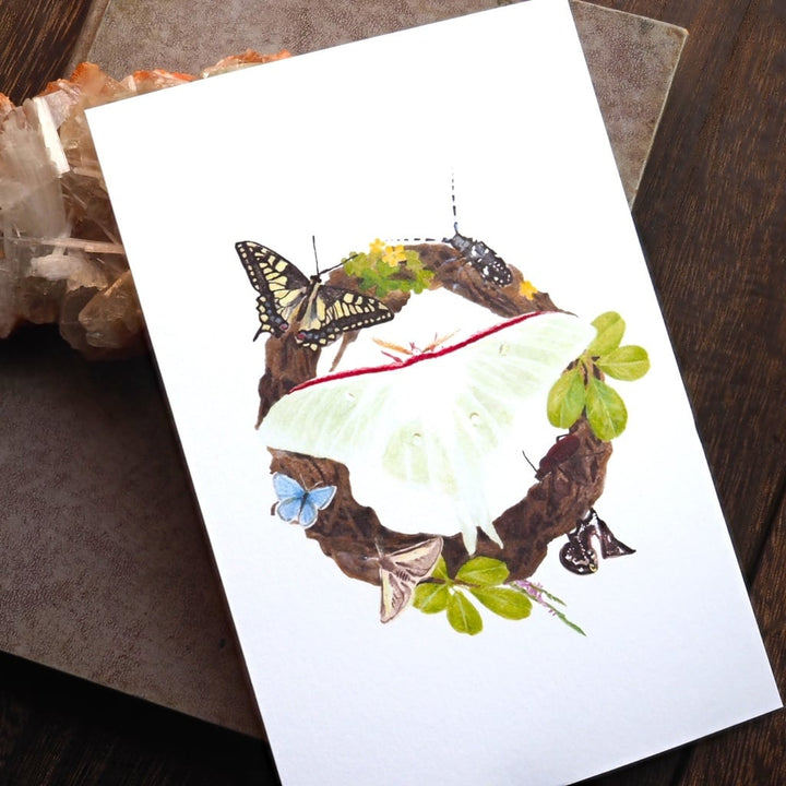 ポストカード 1枚入り（オオミズアオとアケビのリース）