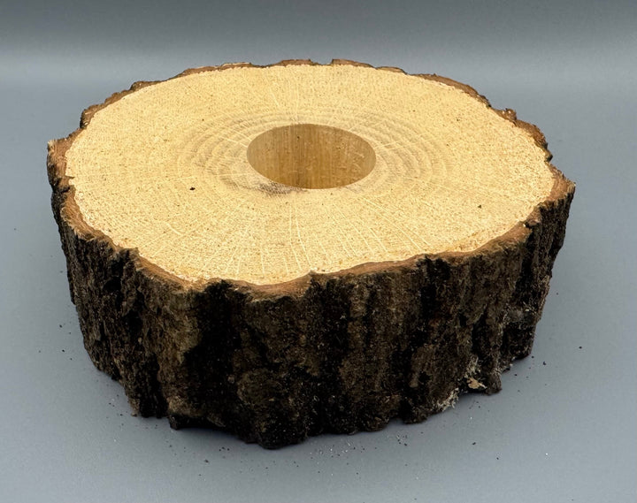 広葉樹エサ皿 16g 1穴