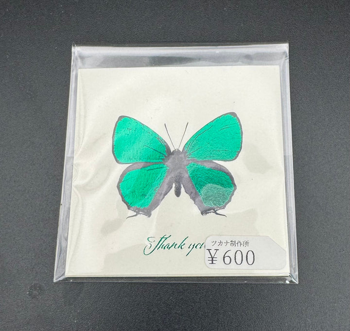 Thank you カード 5枚入り（キリシマミドリシジミ）