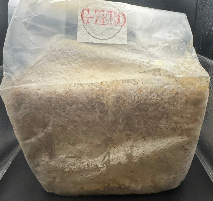 【B品】G-ZERO 菌糸ブロック 3500cc