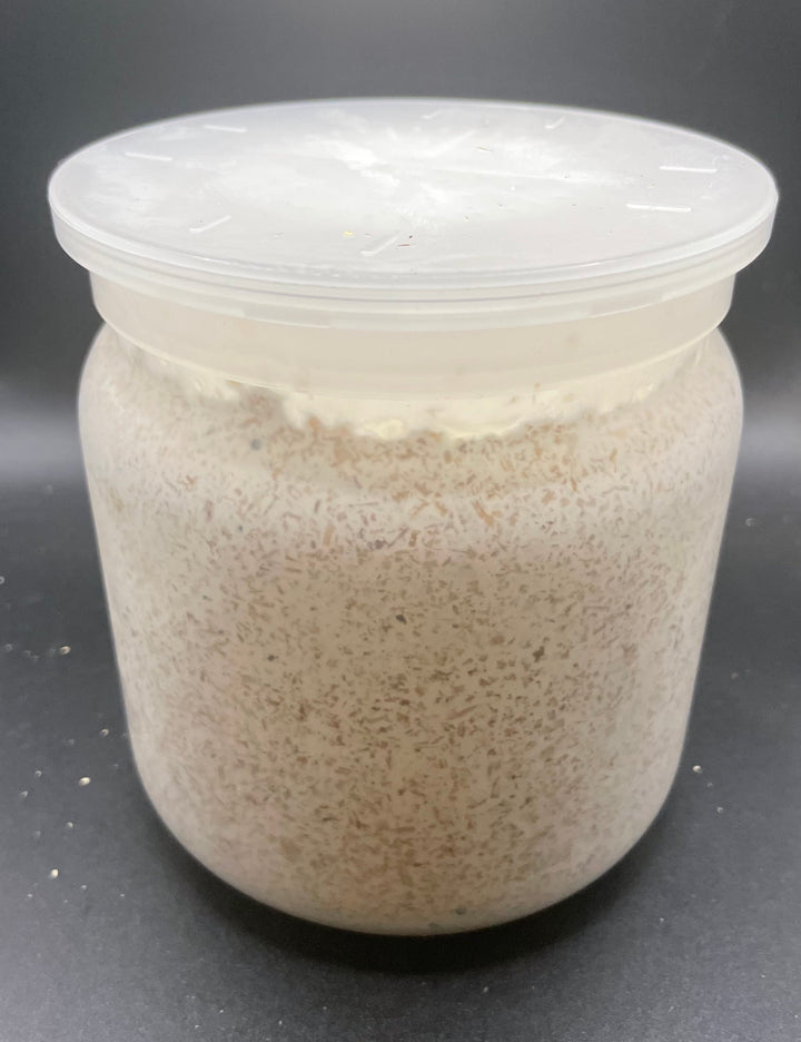 北海道産ブナ100%オオヒラタケ菌糸ボトル1400cc