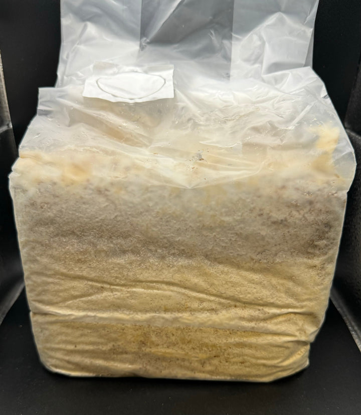 Eカワラ ブロック