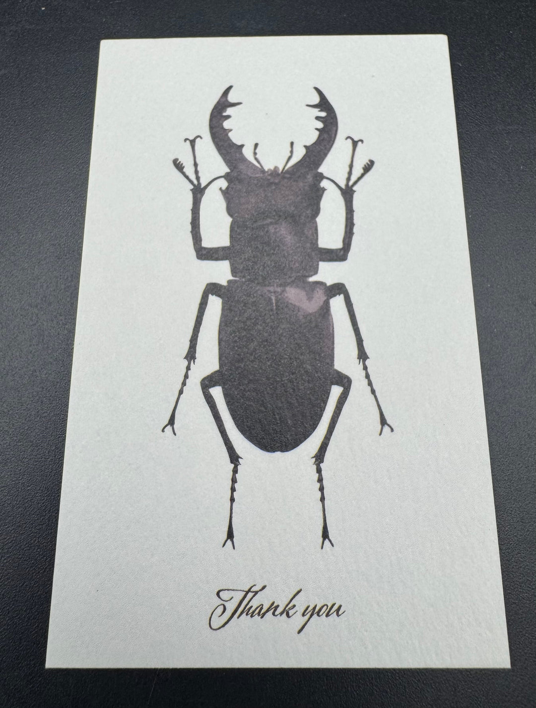 Thank you カード 5枚入り（ミヤマクワガタ）