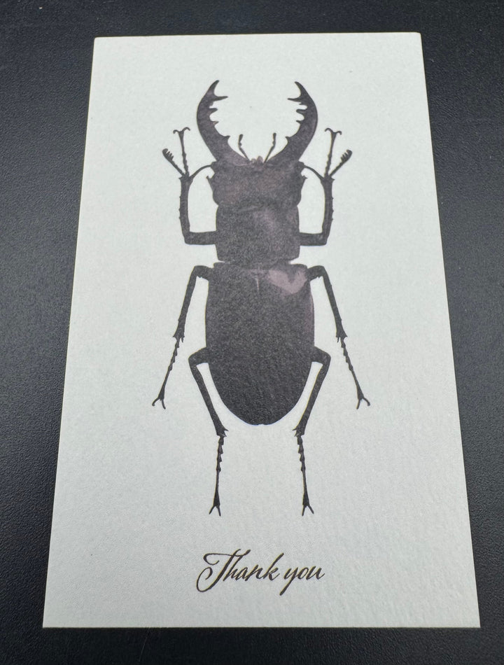 Thank you カード 5枚入り（ミヤマクワガタ）