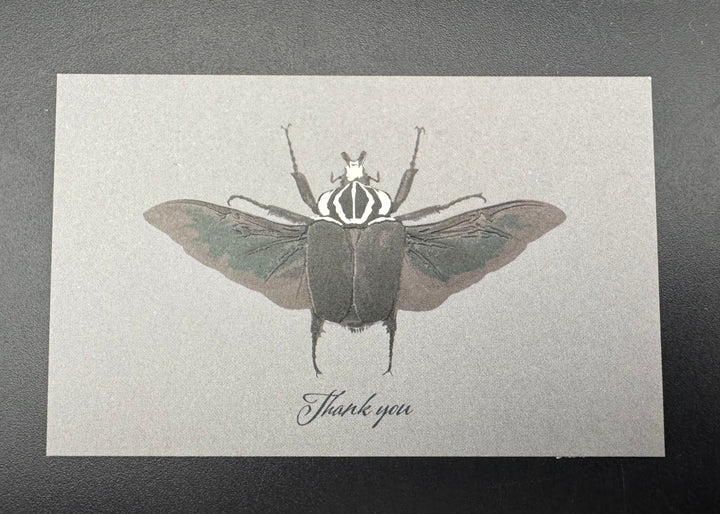 Thank you カード 5枚入り（ゴライアスオオツノハナムグリ）