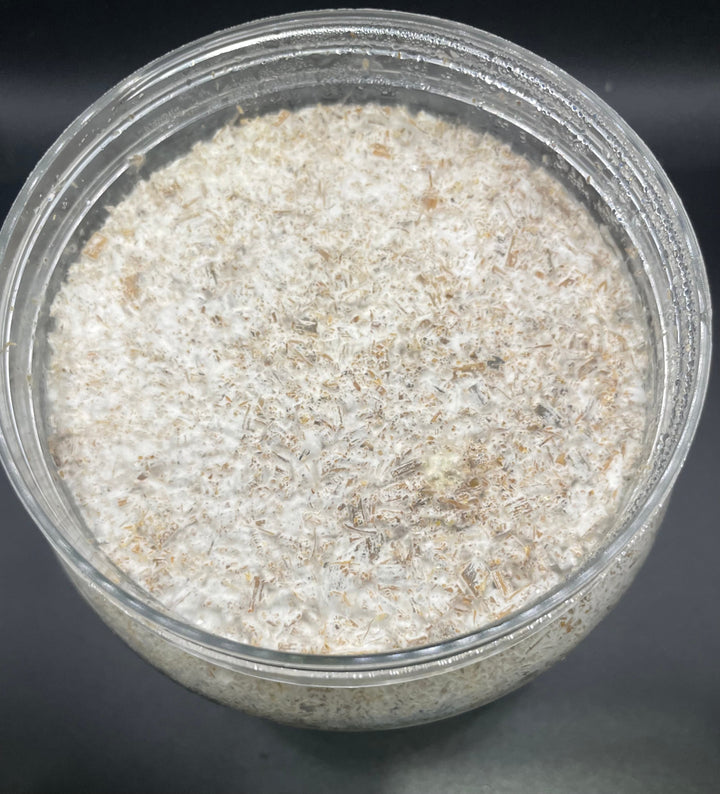 G-ZERO 菌糸ボトル 1500cc