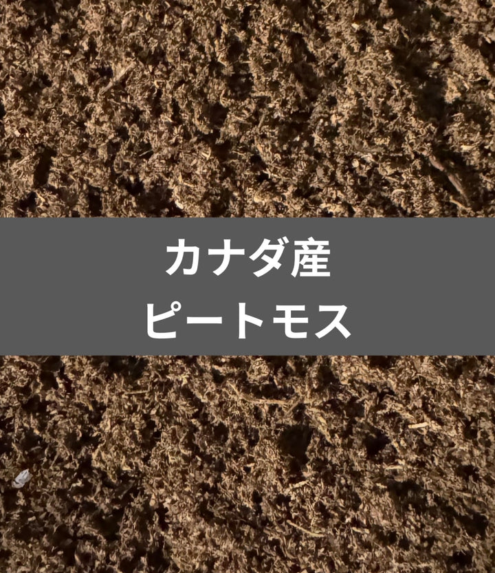 ピートモス微粒子マット 10L