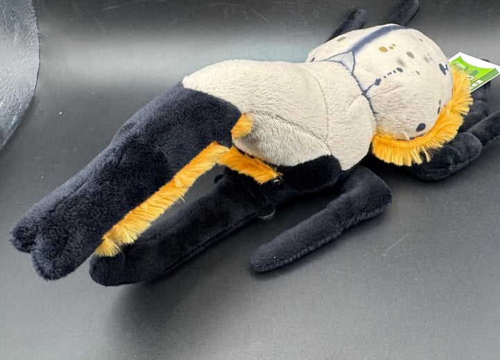 わくわく図鑑 グラントシロカブトぬいぐるみ中
