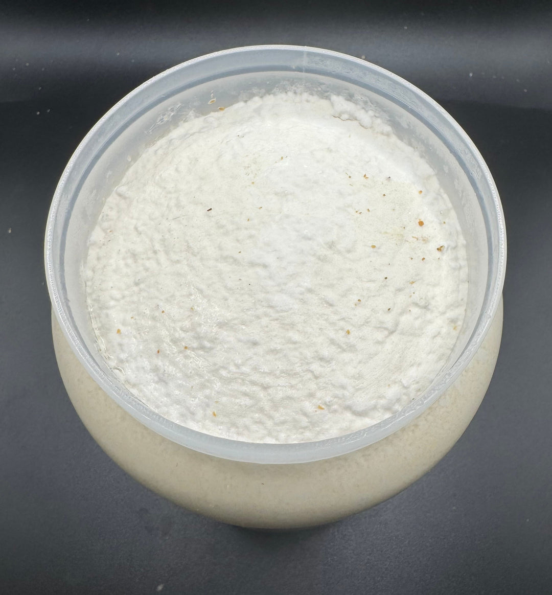 ルカディア 800cc