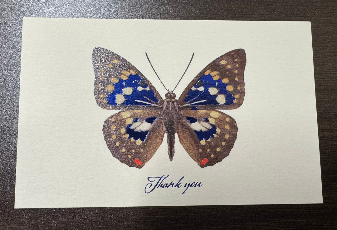 Thank you カード 5枚入り（オオムラサキ）