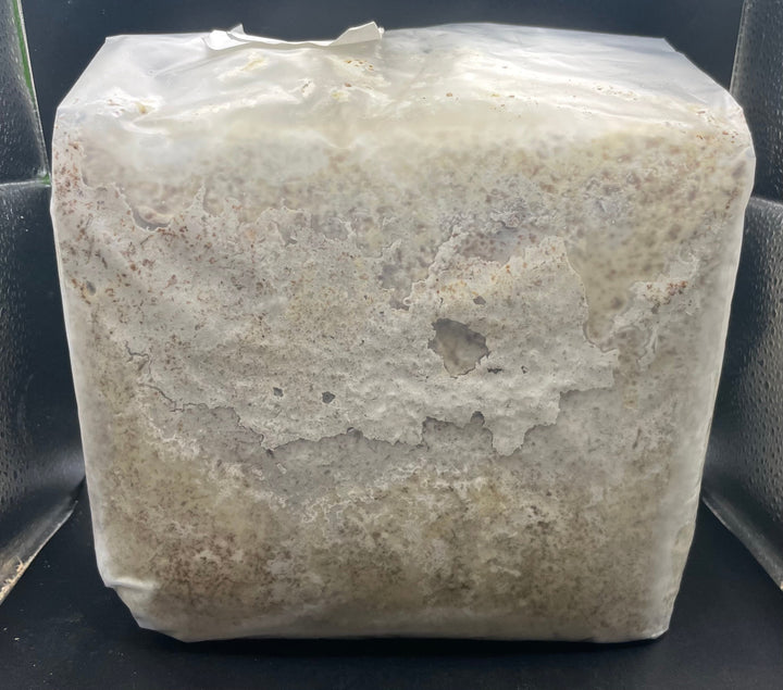 S8カンタケ ブロック