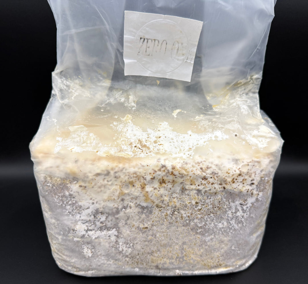 【5袋セット】ZERO-ONE ブロック 3500cc