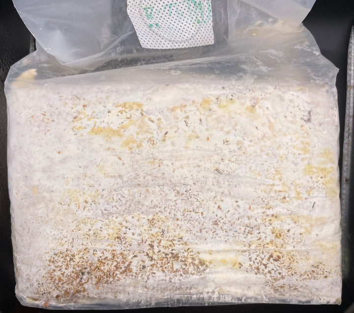 K-ZERO カワラ ブロック 3500cc