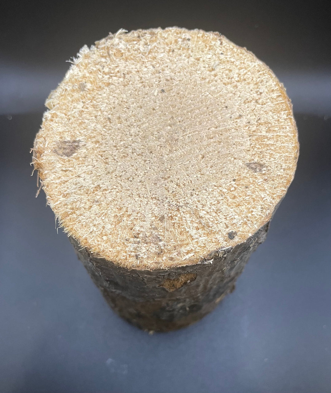 【3年物】産卵木 ドルクス向き硬め材 Mサイズ 1本