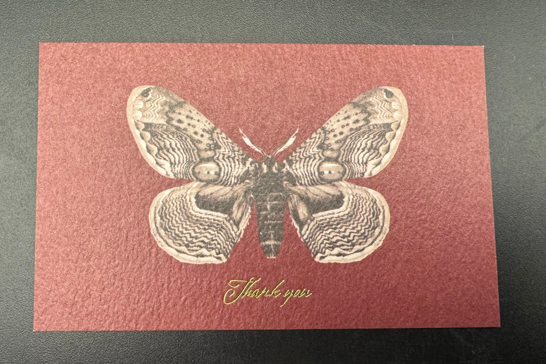 Thank you カード 5枚入り（イボタガ）