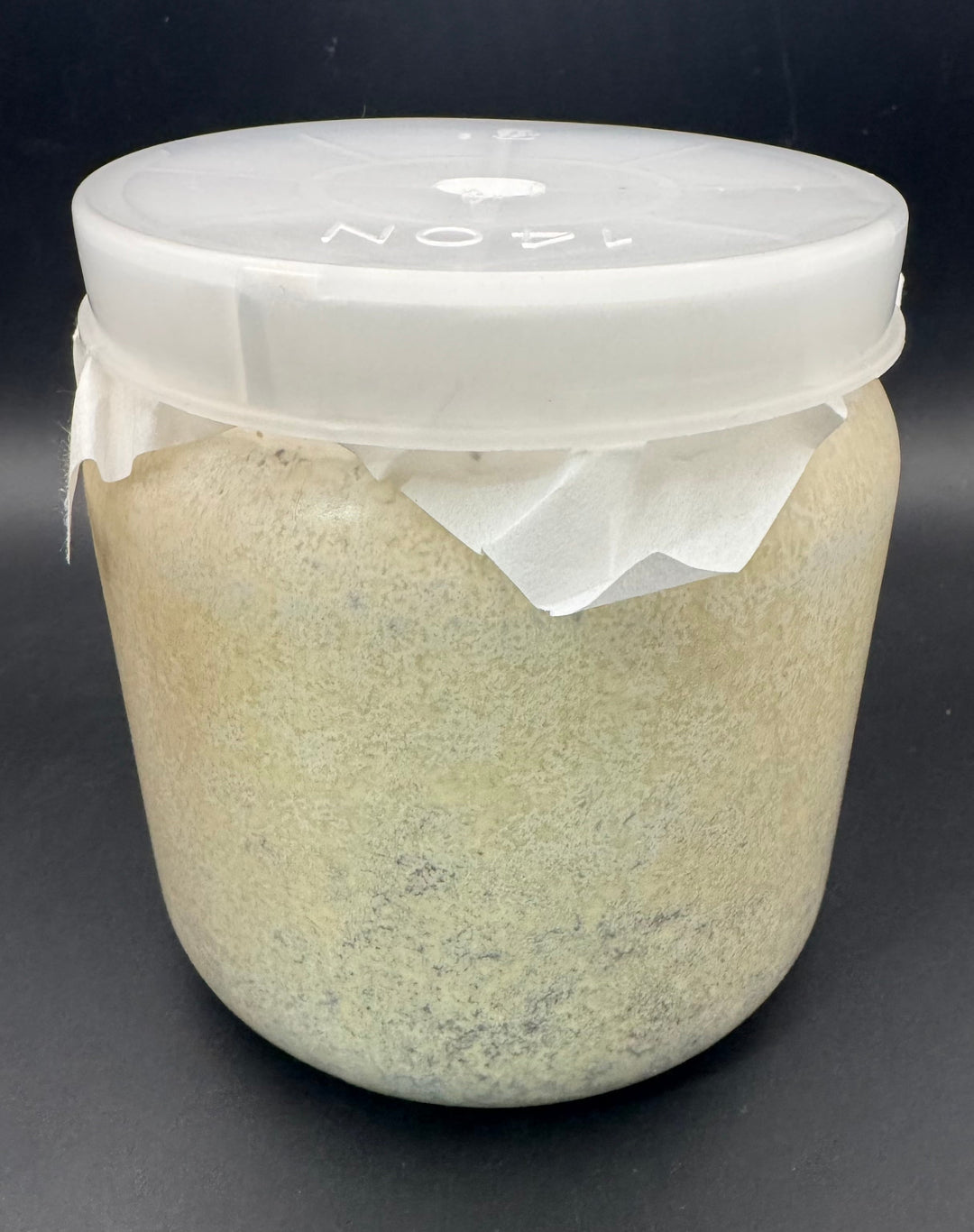 【月光】カワラ菌糸 1400cc