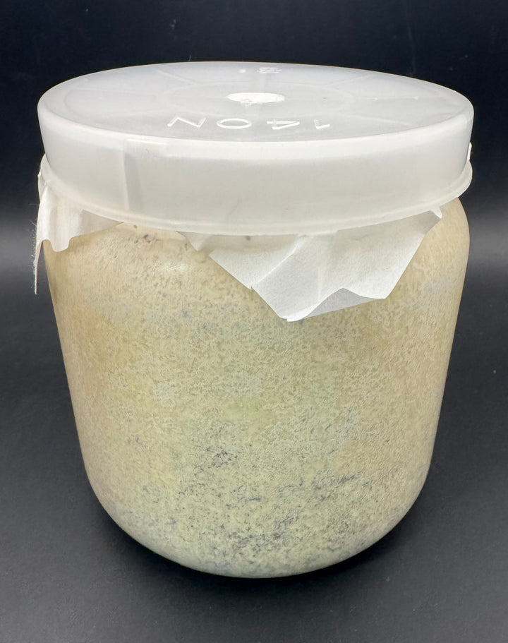 【月光】カワラ菌糸 1400cc