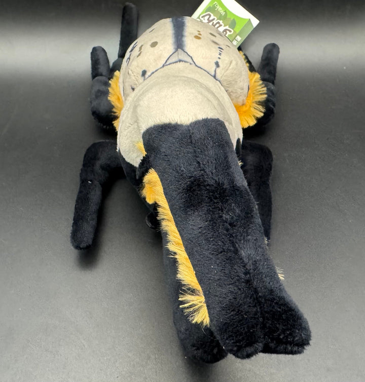 わくわく図鑑 グラントシロカブトぬいぐるみ中