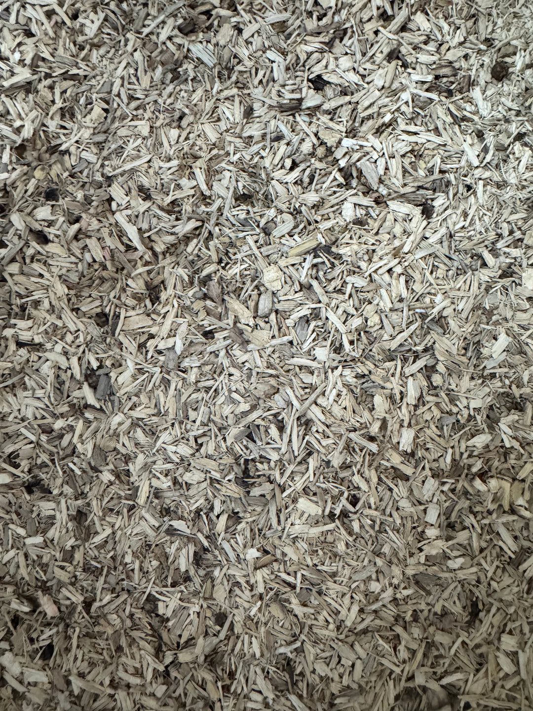 粉砕マット10L(クヌギ80%コナラ20%) 幼虫用発酵マットの素材 / 成虫マット 兼用