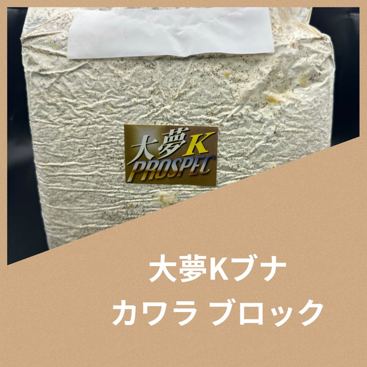 大夢Kブナ カワラ ブロック 4200cc