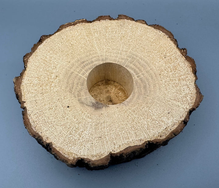 広葉樹エサ皿 16g 1穴